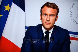 French President extends Lunar New Year greetings
