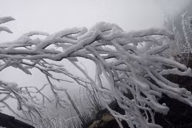 Northern region to turn severely cold from January 17