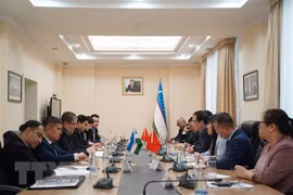 Vietnam, Uzbekistan seek to promote multifaceted cooperation