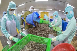 Aquatic exports spike 40% in H1