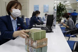 Foreign experts hail Vietnam’s efforts to curb inflation