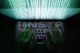Over 450 infringing domain names detected: VNNIC