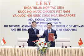 Singaporean, Vietnamese legislatures to strengthen cooperation: Parliament Speaker