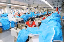 CPTPP still holds untapped potential for Vietnamese businesses