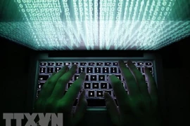 Nearly 3,000 IP addresses in Vietnam linked with data leak