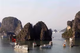 Travel agencies ready to welcome int’l visitors