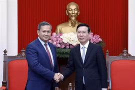 Vietnam, Cambodia maintain solidarity, mutual support: Party official