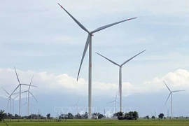 National Power Development Plan VIII paves way for renewable energy