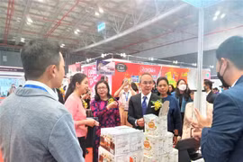 Mini Thailand Week 2022 opens in HCM City