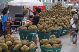 Thailand targets 8.53 billion USD in fruit exports in 2022