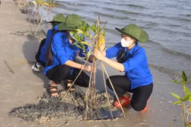 UNDP helps Vietnam strengthen women’s resilience to climate change 