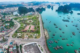 Quang Ninh aims to become fisheries hub of the North