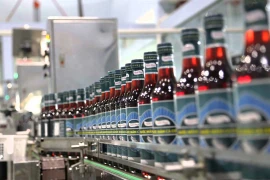 Vietnamese fish sauce industry seeks ways to expand abroad