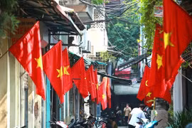 Vietnam a flagship of ASEAN: Russian media