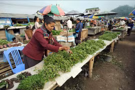 Inflation in Laos hits 22-year high 