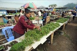 Inflation in Laos hits 22-year high 