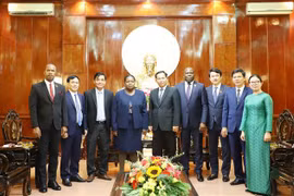Can Tho leader receives Mozambican guest