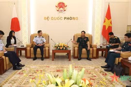 Vietnam, Japan seek stronger ties in air defence