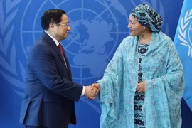 Vietnam to play more active role at UN: PM