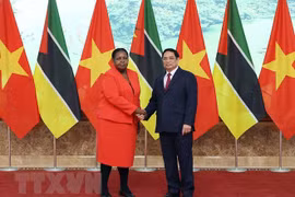 Mozambique is a key partner of Vietnam in Africa: PM