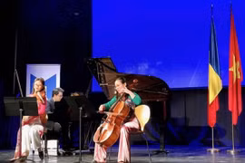 Embassy holds Vietnam-Romania friendship concert in Bucharest