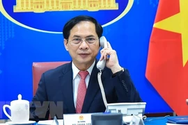 Vietnam always promotes ties with Czech Republic: FM