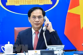 Vietnam always promotes ties with Czech Republic: FM
