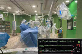 COVID-19: Over 31,800 new cases reported on February 15
