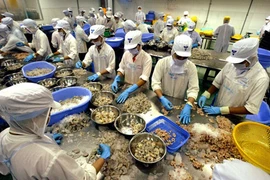 Vietnamese businesses seeking to further penetrate South Africa