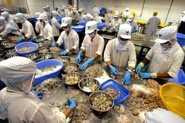 Vietnamese businesses seeking to further penetrate South Africa