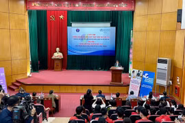 Health experts call for improving quality of mental health care