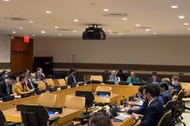 Vietnam co-chairs consultation on UNGA draft resolution epidemic preparedness, response