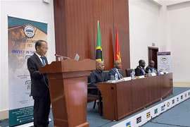 Tanzania capable of meeting Vietnam's needs in many fields: diplomat
