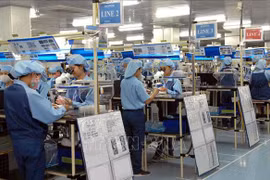 Vietnamese economy to recover fast this year: UNDP representative