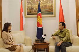 Vietnam, Indonesia to promote strategic partnership to new height: Ambassador