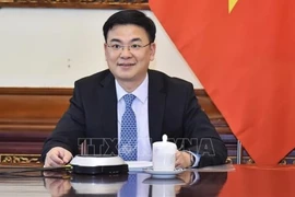 New project to promote Vietnamese language in Vietnamese communities abroad 
