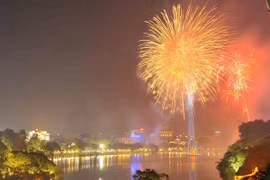 Culture ministry asks for cancellations of Tet festivals, fireworks