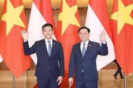 Vietnam, Singapore agree to further advance parliamentary relations