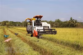 Vietnam advised to promote innovation to tap CPTPP