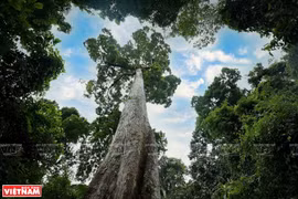President urges upholding values of Cuc Phuong National Park