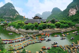 Vietnam fully taps potential of UNESCO cultural treaties: Director General