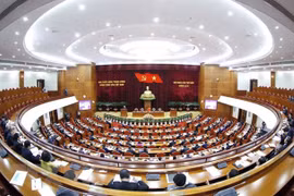Party Central Committee discusses building Party organisations, developing membership 