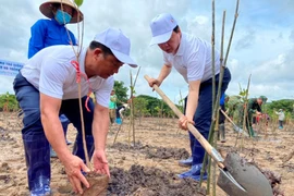 Activities calling for environmental protection efforts launched