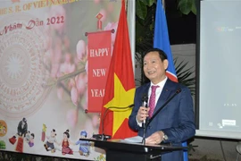 Vietnamese people in Egypt, Russia celebrate Lunar New Year