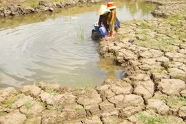 Forum to discuss cooperate responsibility towards climate change
