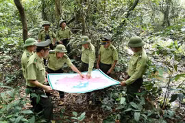 US supports law enforcement training for Vietnamese forest rangers