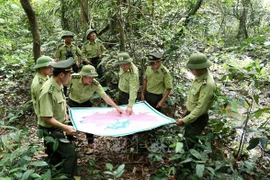 US supports law enforcement training for Vietnamese forest rangers