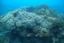 Vietnam hosts international conference on ocean economy