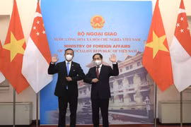 Vietnam - a magnet for Singaporean investors: Ambassador