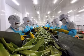 Agricultural exports expected to surge this year 